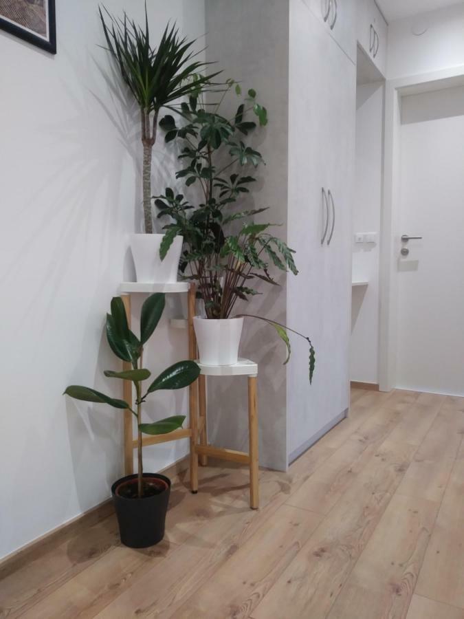 Oliva 4 Stars Apartment ซาเกร็บ ภายนอก รูปภาพ